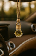 CAR HANGING POD